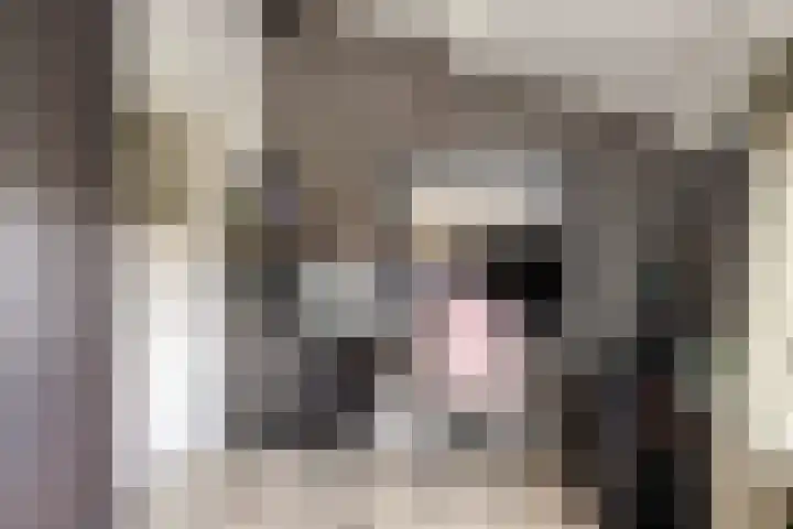 Stationsweg 16 Heinkenszand thumbnail 23