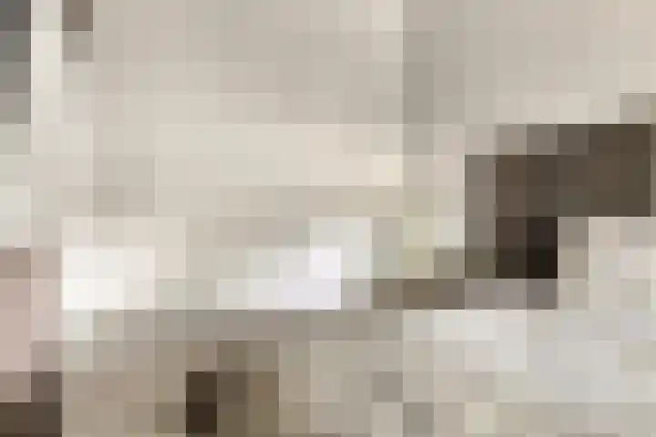 Stationsweg 16 Heinkenszand thumbnail 25