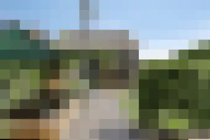 Stationsweg 16 Heinkenszand thumbnail 30