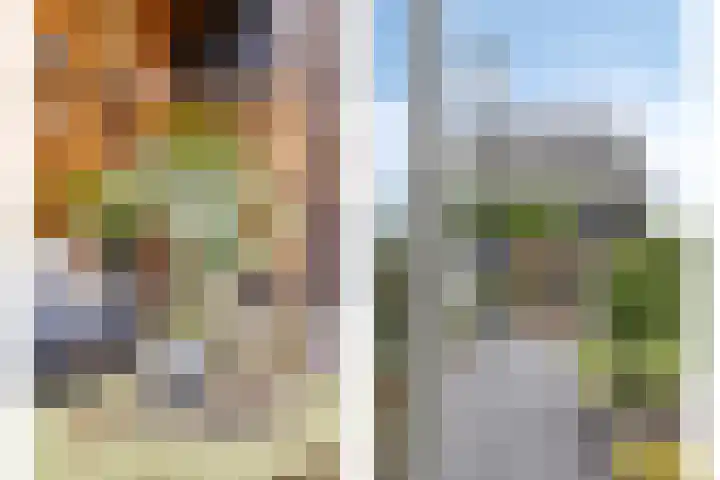 Stationsweg 16 Heinkenszand thumbnail 35