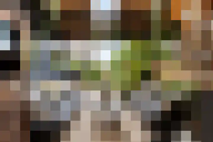 Stationsweg 16 Heinkenszand thumbnail 36