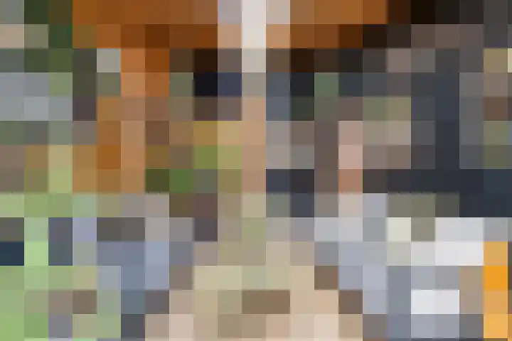 Stationsweg 16 Heinkenszand thumbnail 37