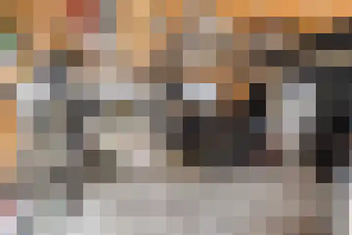Stationsweg 16 Heinkenszand thumbnail 38