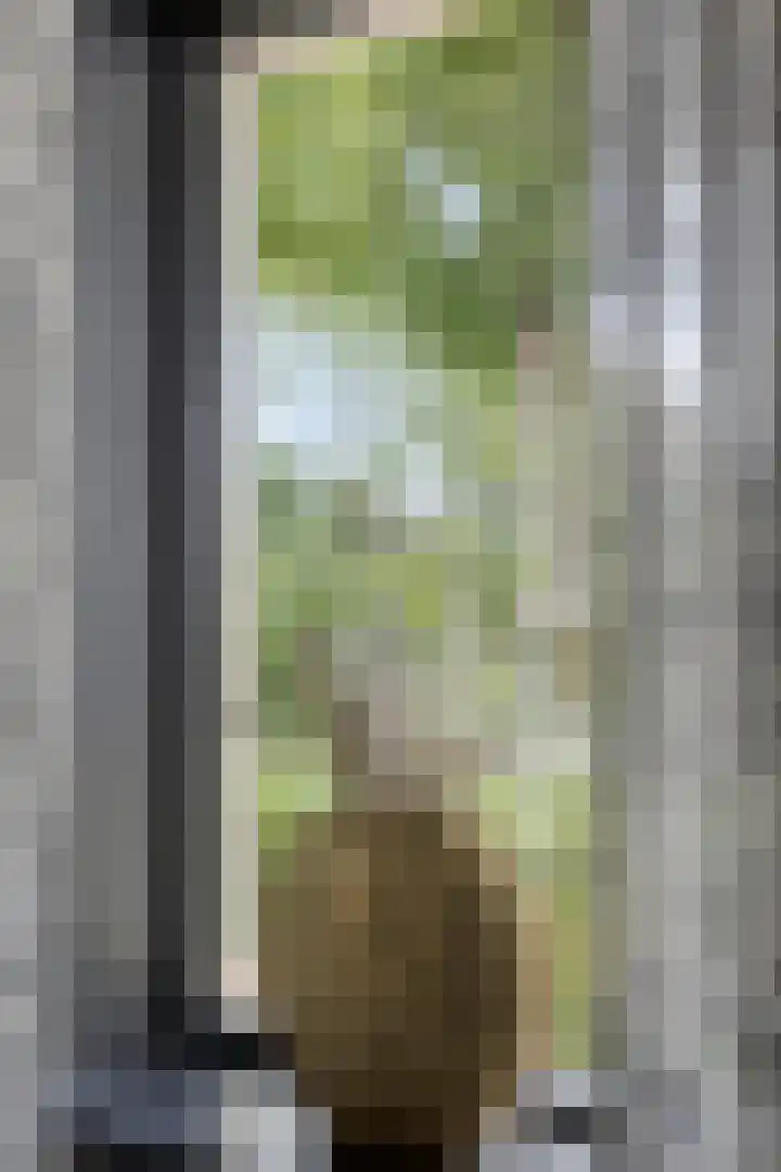 Stationsweg 16 Heinkenszand thumbnail 8