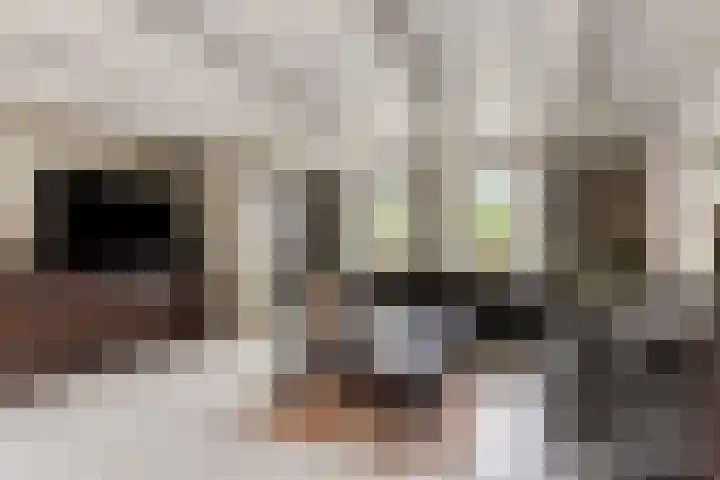 Stationsweg 16 Heinkenszand thumbnail 9