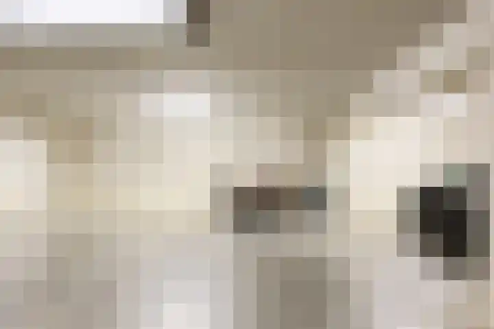 Stationsweg 162 Heiloo thumbnail 31