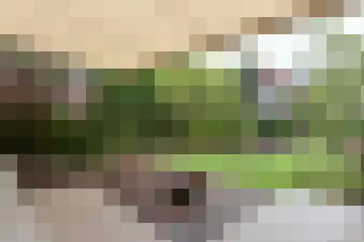 Stationsweg 17 Breukelen thumbnail 30