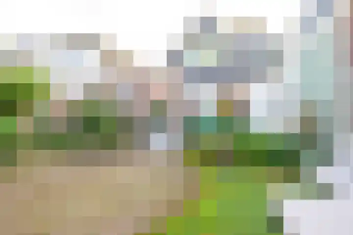 Stationsweg 17 Schagen thumbnail 16