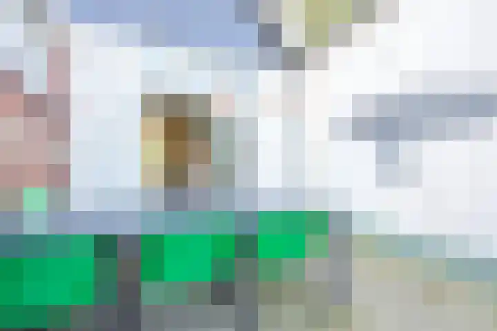 Stationsweg 17 Schagen thumbnail 18