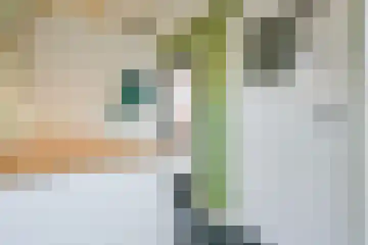 Stationsweg 17 Schagen thumbnail 25