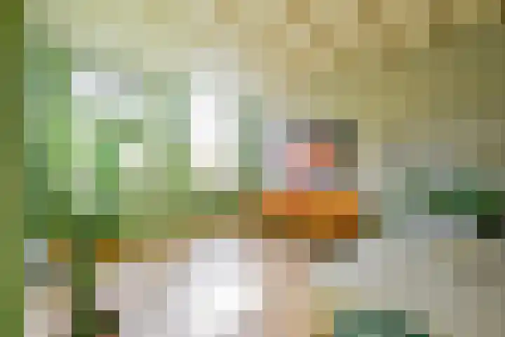 Stationsweg 17 Schagen thumbnail 6