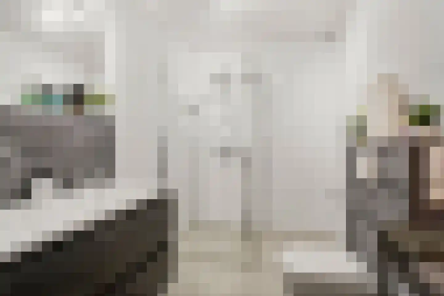 Stationsweg 170 Ede thumbnail 24