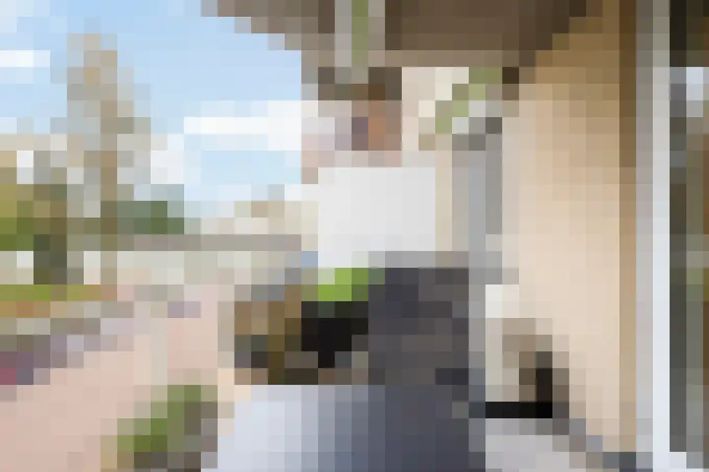 Stationsweg 170 Ede thumbnail 29