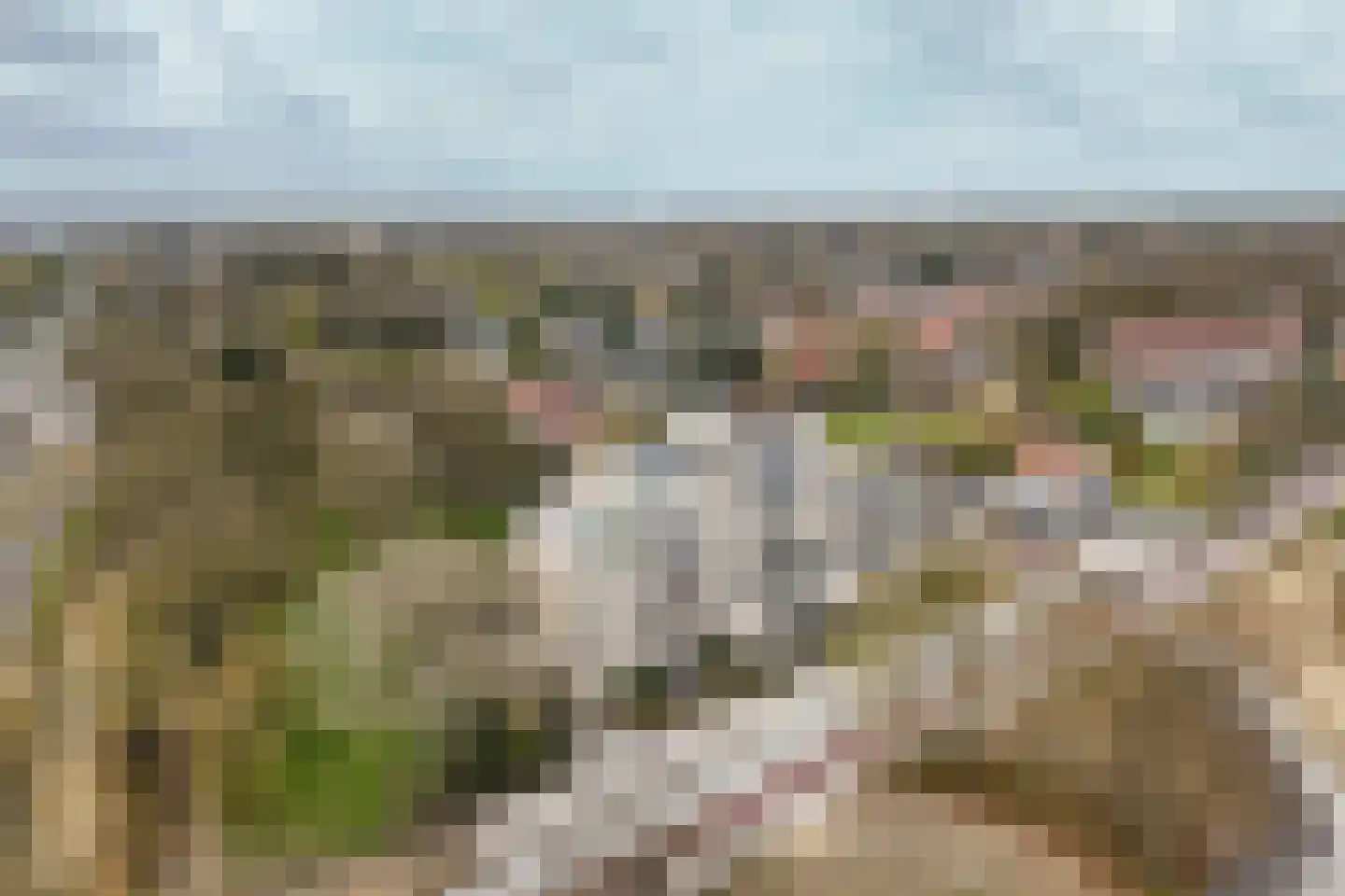 Stationsweg 170 Ede thumbnail 44
