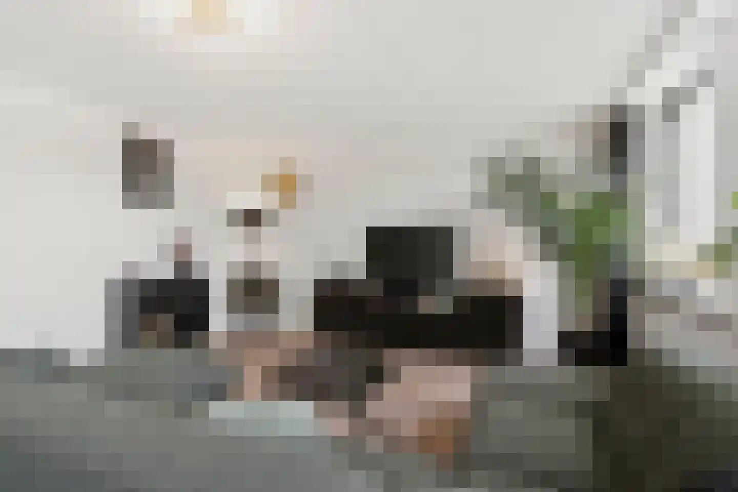 Stationsweg 170 Ede thumbnail 6