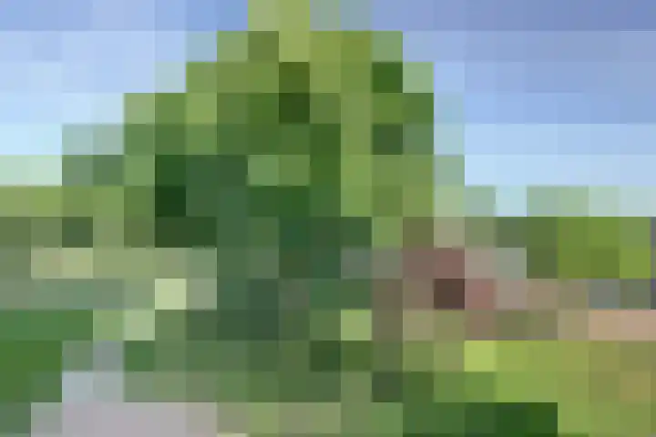 Stationsweg 171 Leerdam thumbnail 4