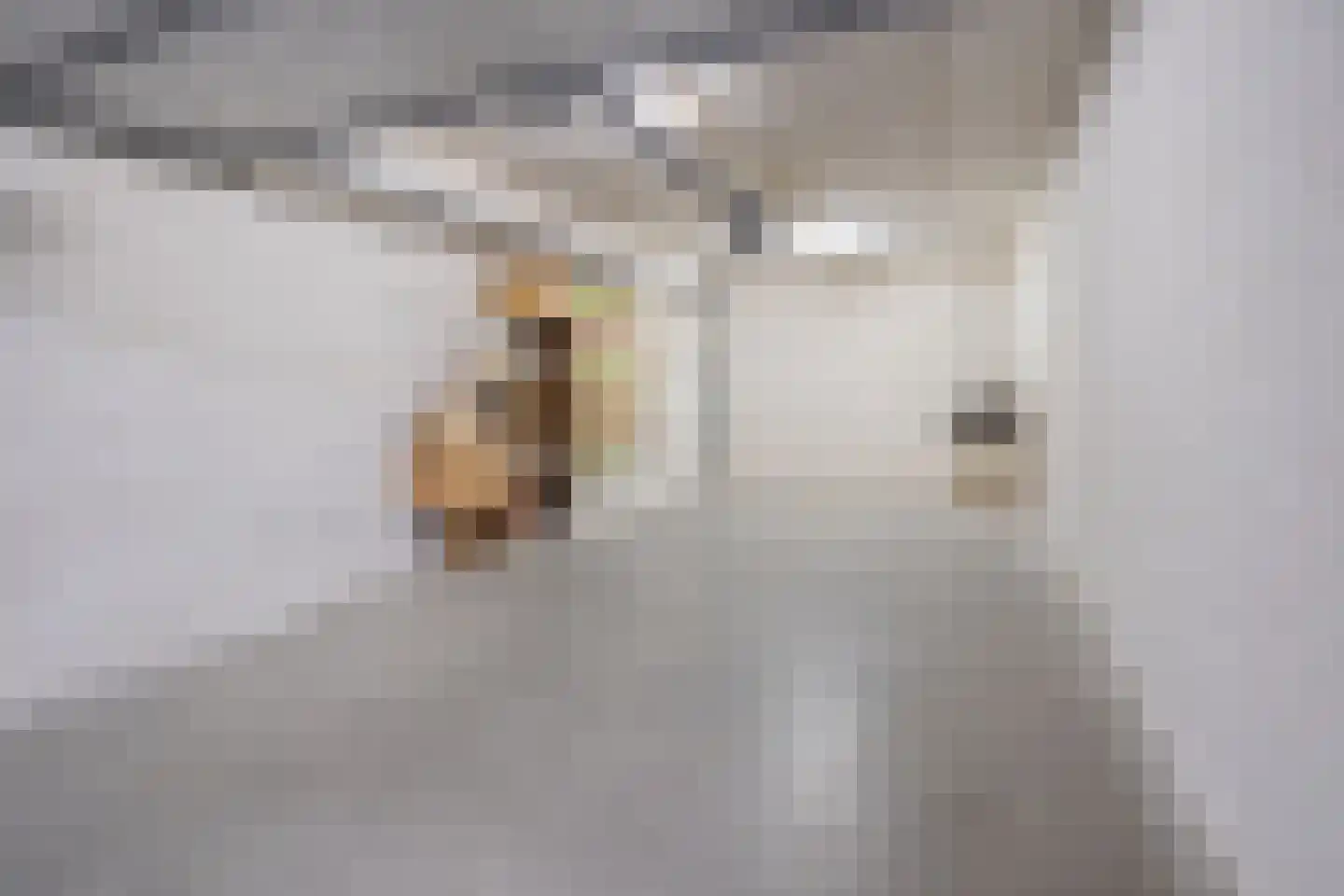 Stationsweg 174 Heiloo thumbnail 43