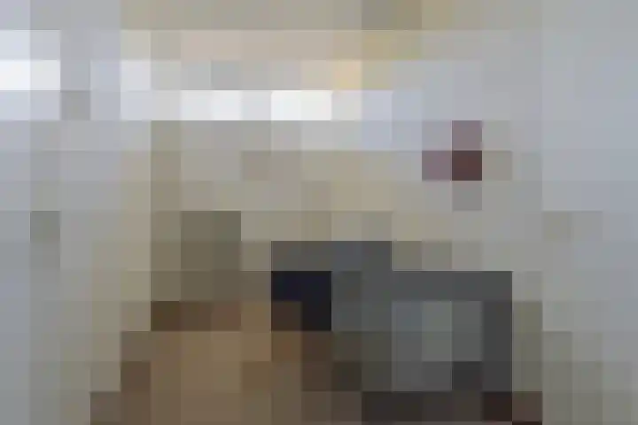 Stationsweg 175 Oostrum thumbnail 26