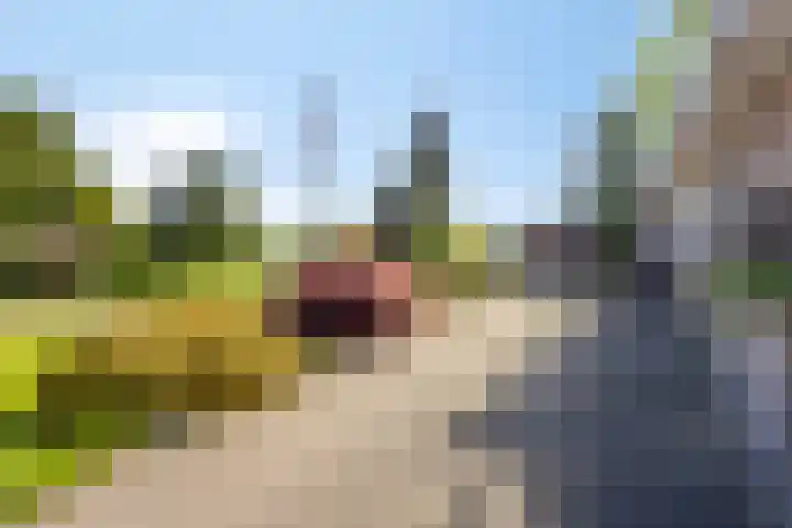 Stationsweg 175 Oostrum thumbnail 29