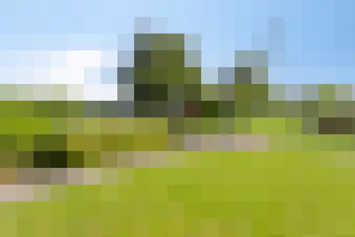Stationsweg 175 Oostrum thumbnail 33