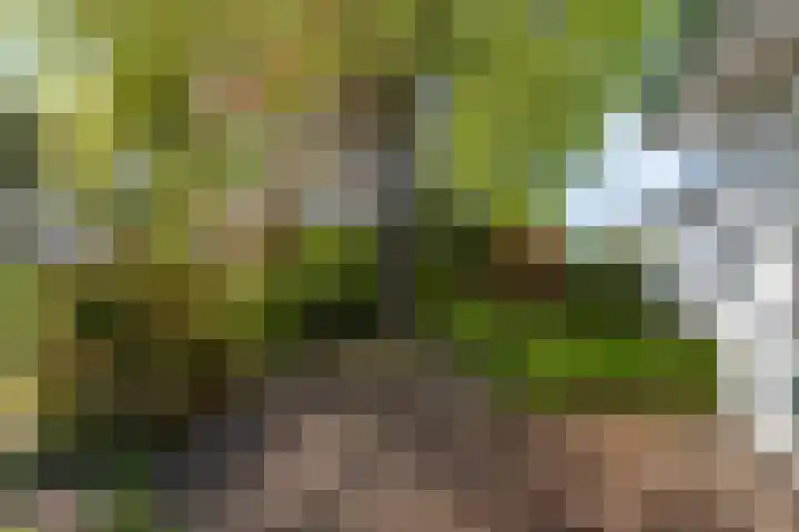 Stationsweg 175 Oostrum thumbnail 35