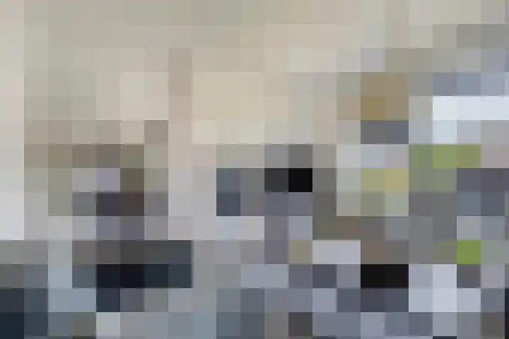 Stationsweg 175 Oostrum thumbnail 8