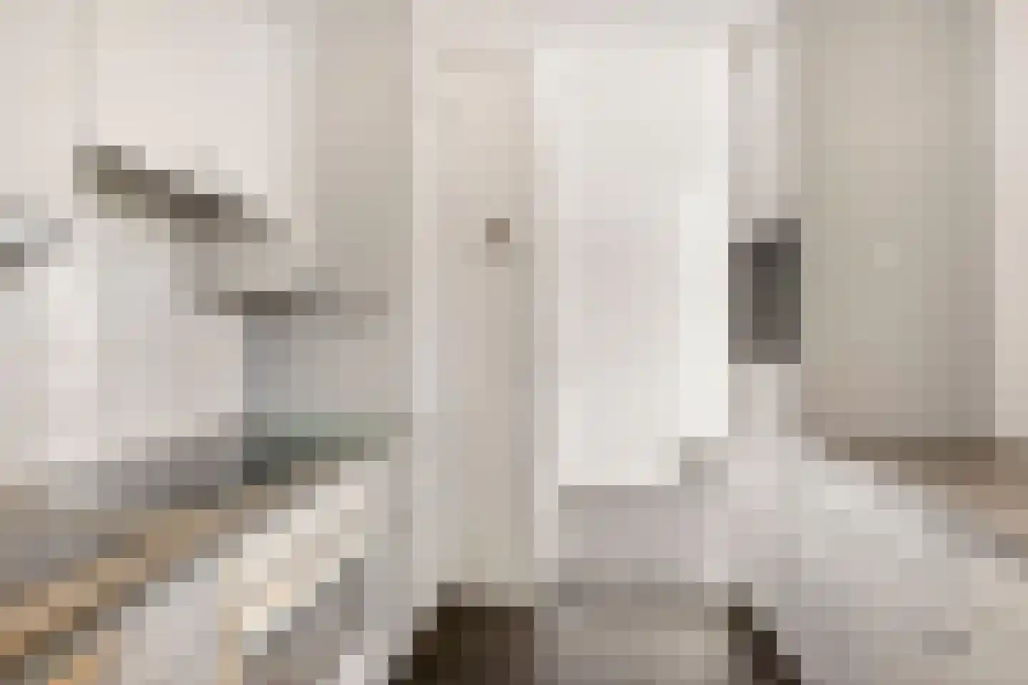 Stationsweg 176 Ede thumbnail 19