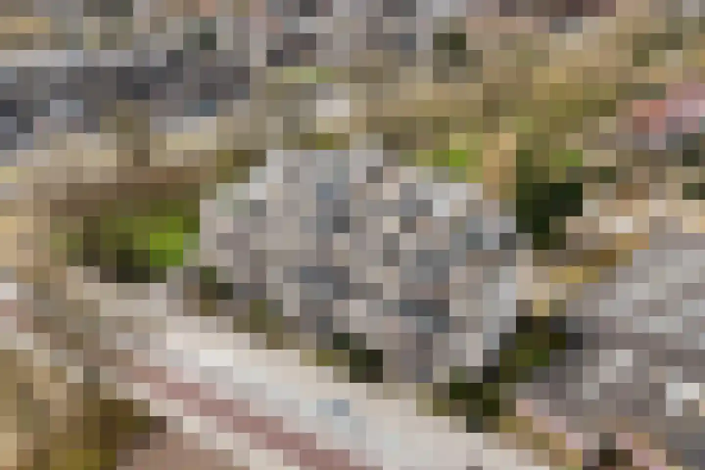 Stationsweg 176 Ede thumbnail 4