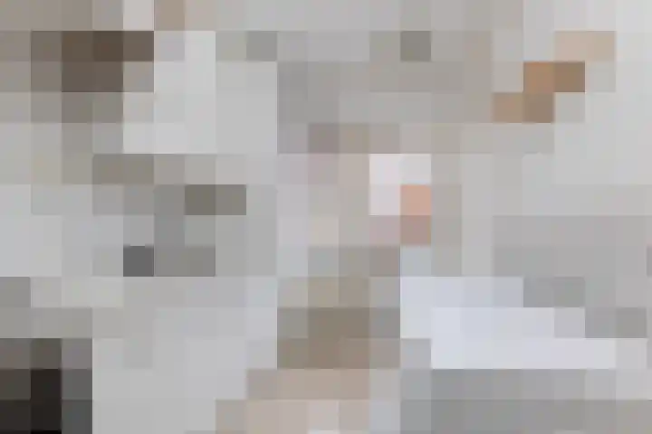 Stationsweg 18 A Wezep thumbnail 12