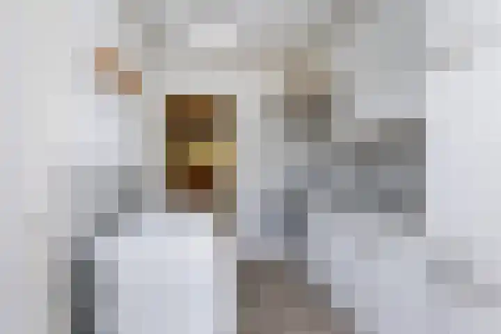 Stationsweg 18 A Wezep thumbnail 13