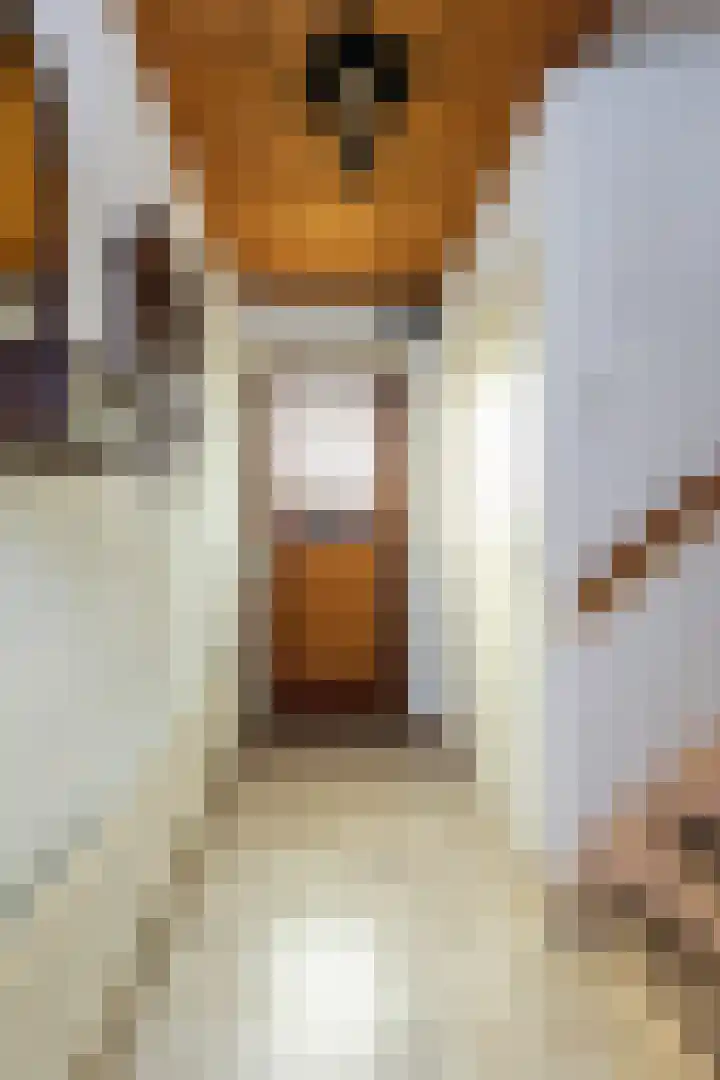 Stationsweg 18 A Wezep thumbnail 6