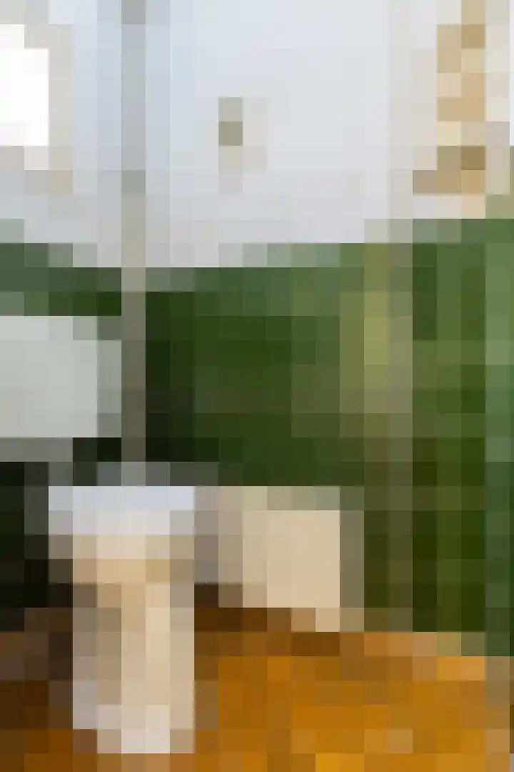 Stationsweg 18 A Wezep thumbnail 7