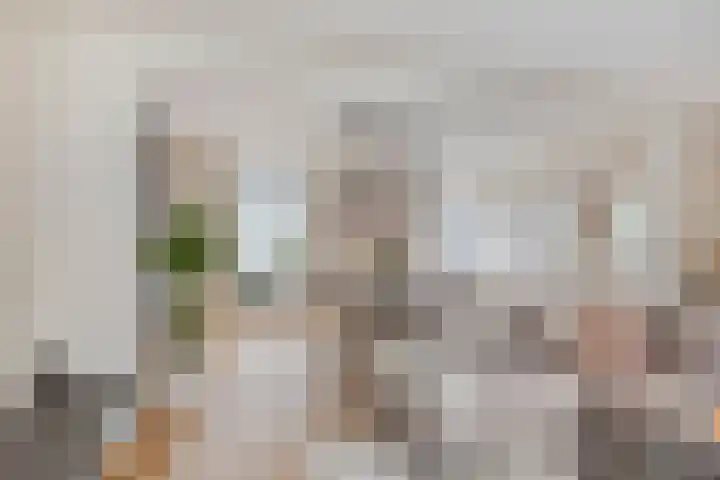 Stationsweg 18 c Boxmeer thumbnail 11