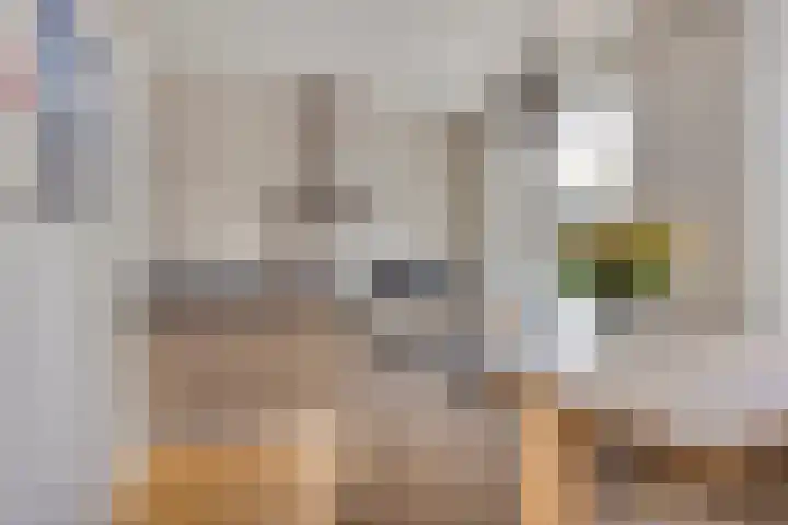 Stationsweg 18 c Boxmeer thumbnail 13