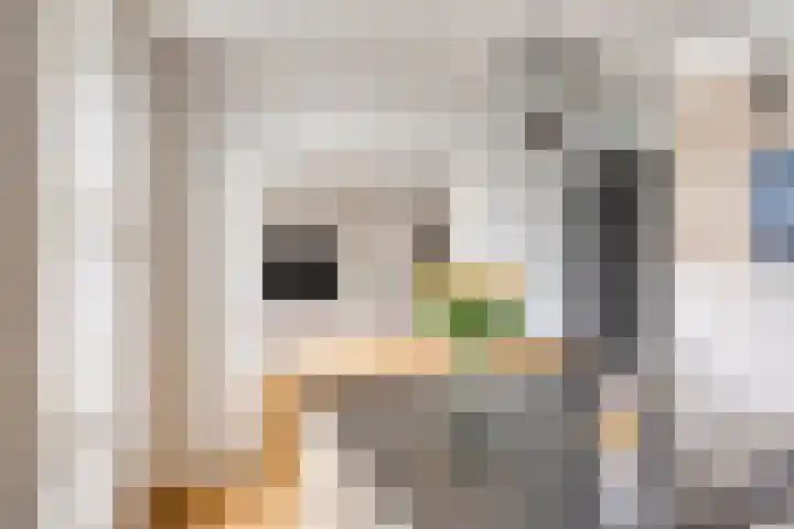 Stationsweg 18 c Boxmeer thumbnail 14