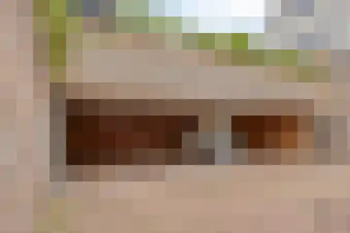 Stationsweg 18 c Boxmeer thumbnail 26