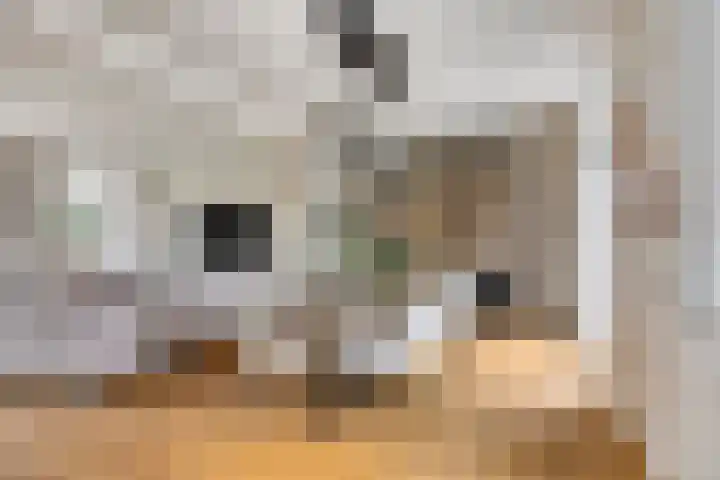 Stationsweg 18 c Boxmeer thumbnail 6
