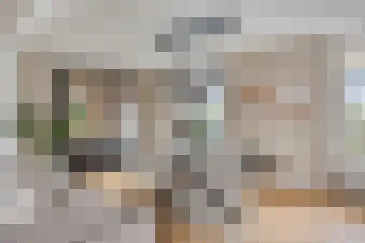 Stationsweg 18 c Boxmeer thumbnail 8