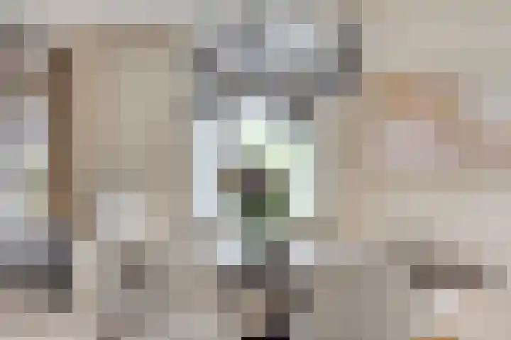 Stationsweg 18 c Boxmeer thumbnail 9