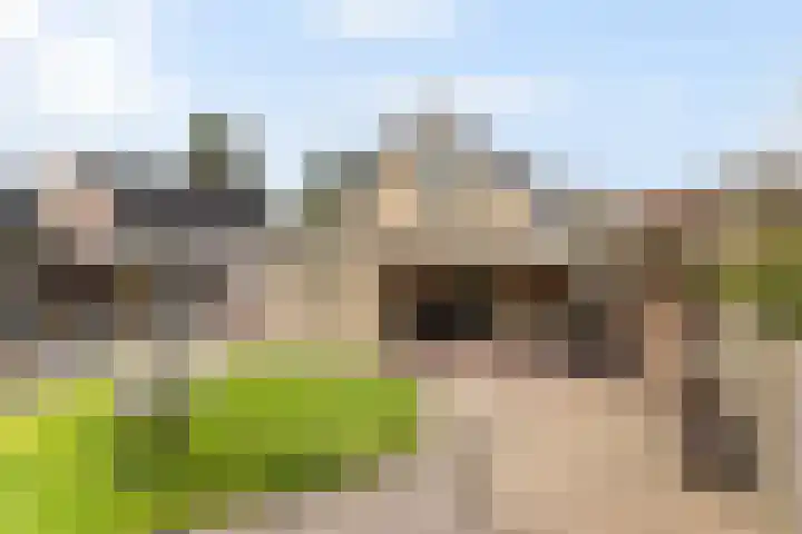 Stationsweg 18 Haarle thumbnail 16