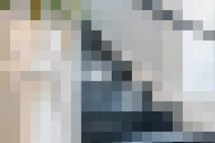 Stationsweg 18 Wapenveld thumbnail 15