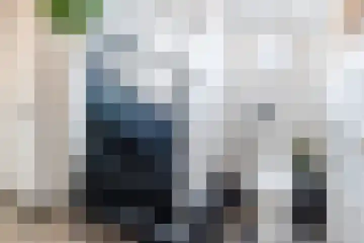 Stationsweg 18 Wapenveld thumbnail 16