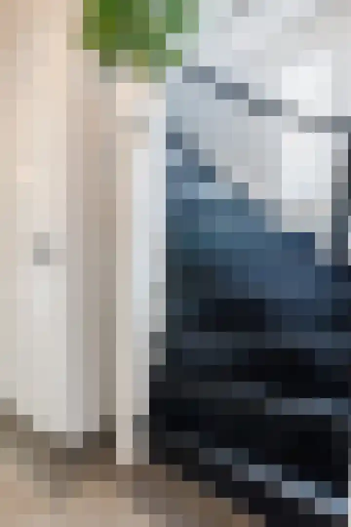 Stationsweg 18 Wapenveld thumbnail 17