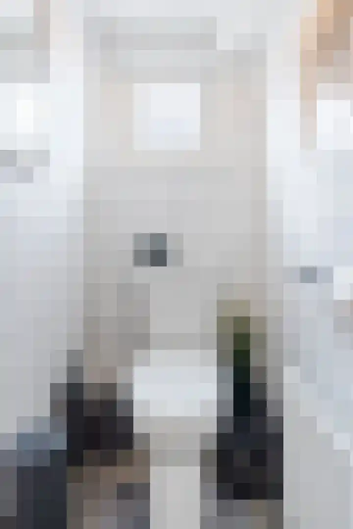 Stationsweg 18 Wapenveld thumbnail 18
