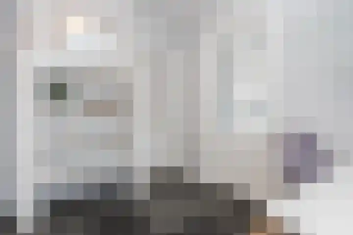 Stationsweg 18 Wapenveld thumbnail 21