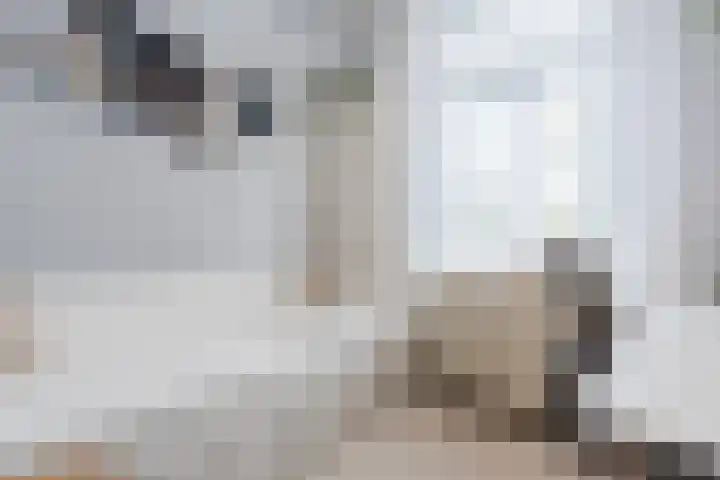 Stationsweg 18 Wapenveld thumbnail 23