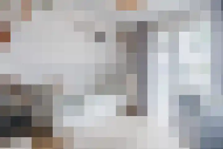 Stationsweg 18 Wapenveld thumbnail 33