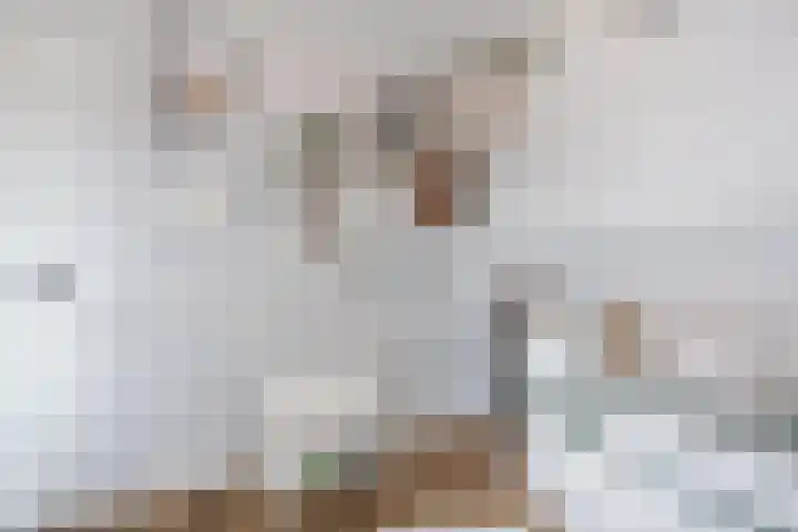 Stationsweg 18 Wapenveld thumbnail 35