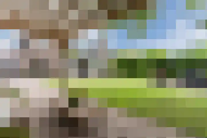 Stationsweg 18 Wapenveld thumbnail 44