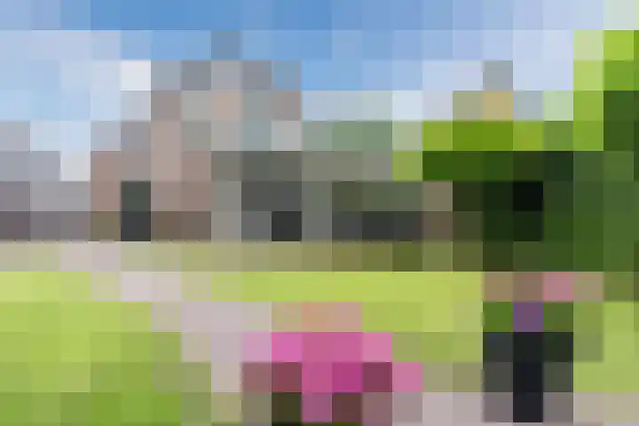 Stationsweg 18 Wapenveld thumbnail 46